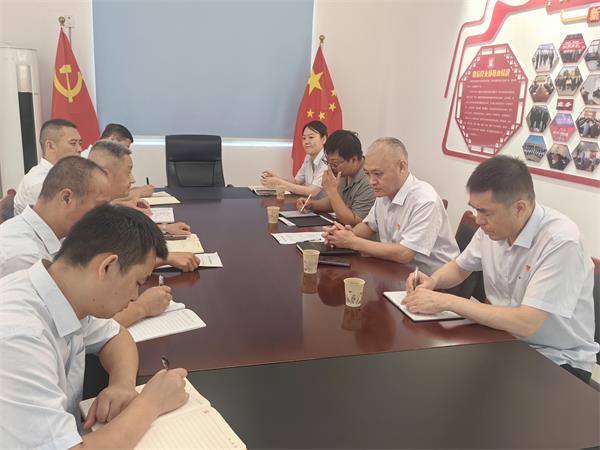 公司領導調研指導鼎信公司、藍盾...